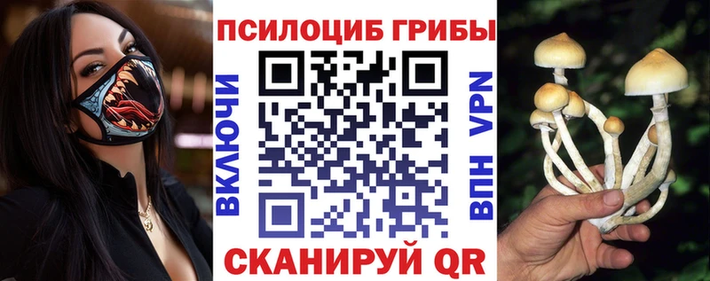 Псилоцибиновые грибы MAGIC MUSHROOMS Азов